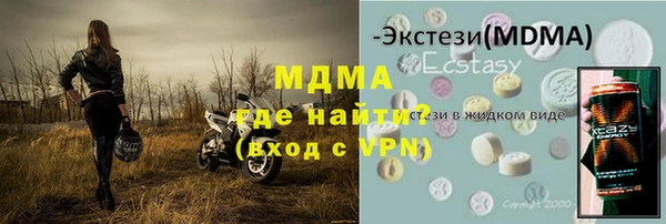 спиды Ельня