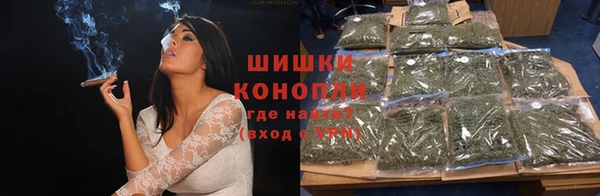 спиды Ельня