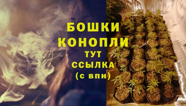 прущая мука Елабуга