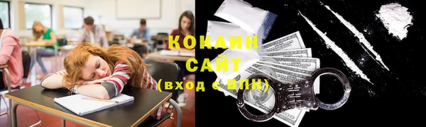 спиды Ельня