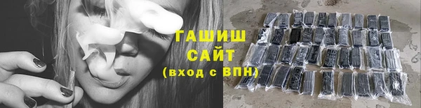 спиды Ельня