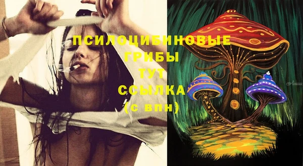 спиды Ельня