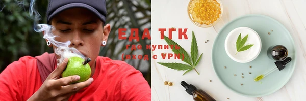 спиды Ельня