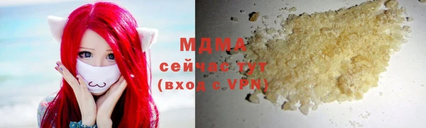 спиды Ельня