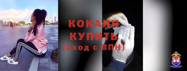 спиды Ельня