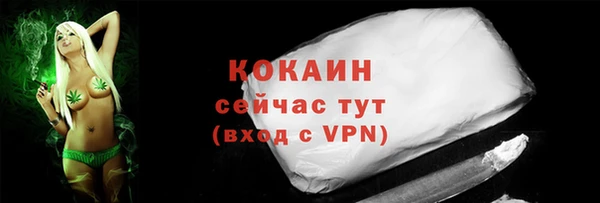 спиды Ельня