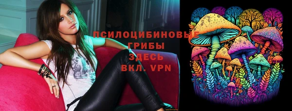 прущая мука Елабуга