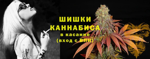 прущая мука Елабуга
