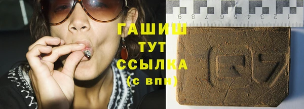 спиды Ельня